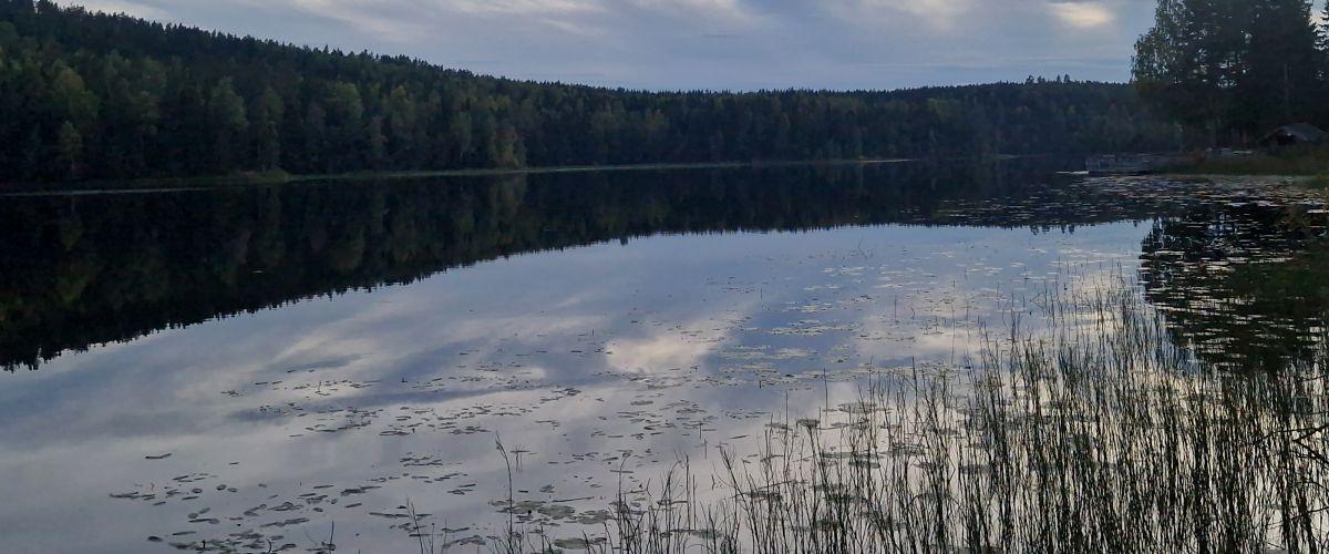 Grössjön och Abborrtjärn