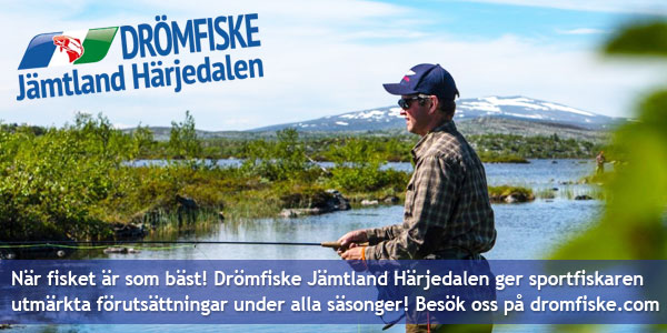 Drömfiske Jämtland Härjedalen