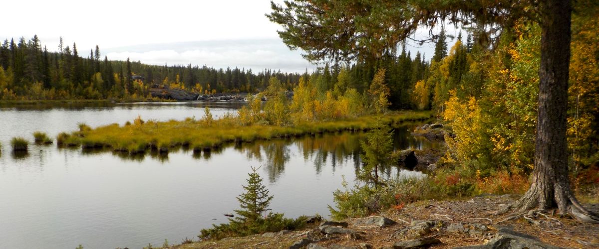 Holmselet, Hällfors, Kultsjöån FVO