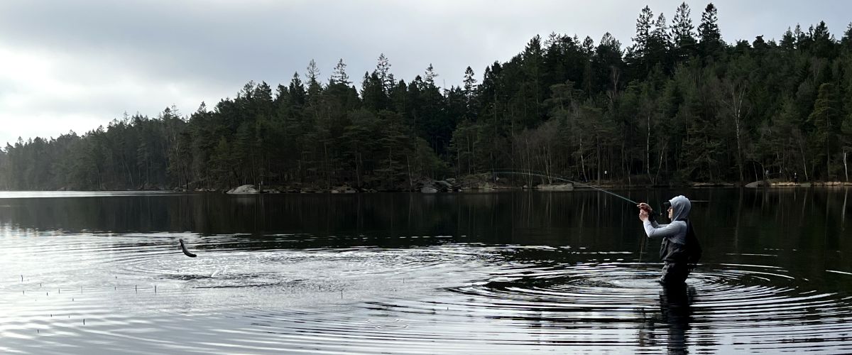 Angelpremiere April 2025