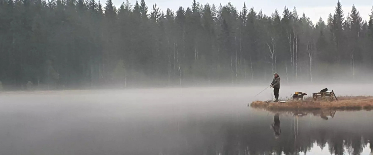 Tanstjärn en dimmig höstdag