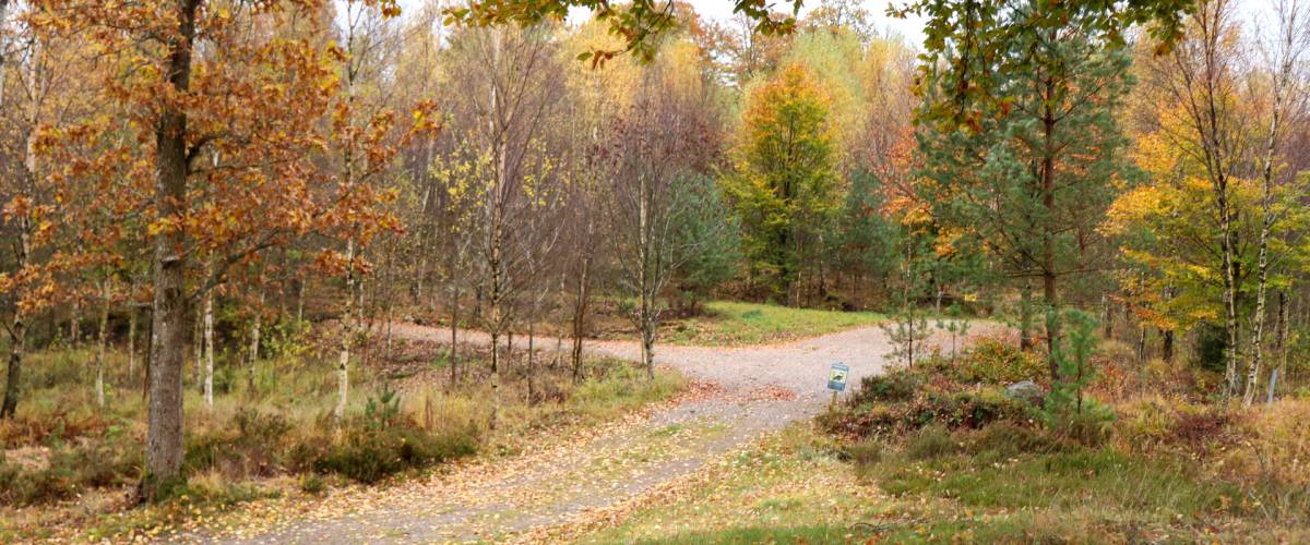 Zugang zur Bootsrampe